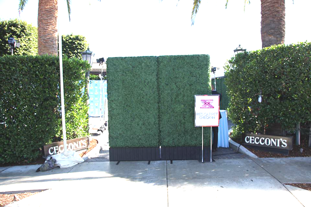 Green Hedge rental for events