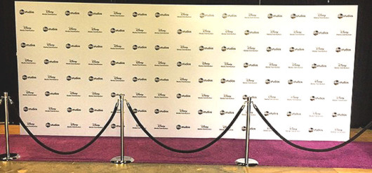 DIY Step and Repeat Banner