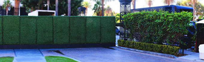 Green Hedge Privacy Fence