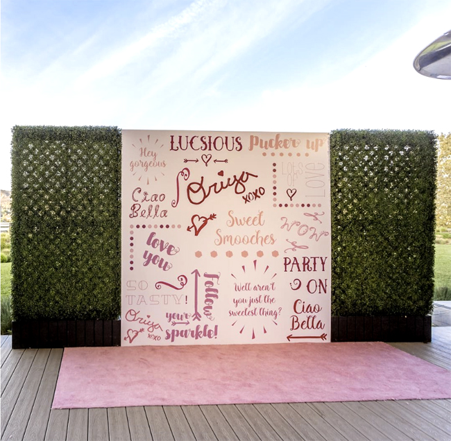 Pink Carpet Runner with Backdrop & Green Hedges Setup for Bar Mitzvah
