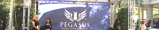 Pegasus World Cup Installation