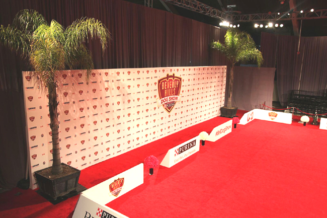 step and repeat backdrop with red carpet
