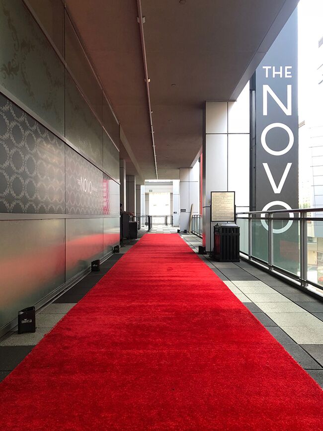 Hollywood Film Festival Red Carpet Arrival installation
