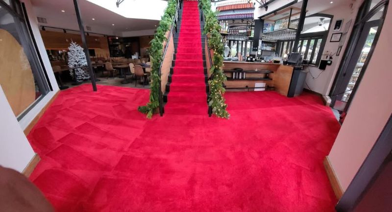 Grove Tree Lighting Red Carpet